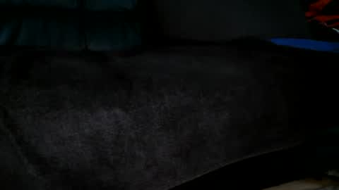 Snapshot of sundicksun chatting on 06-30-26, 02:29 s online show from 06-30-26, 02:29