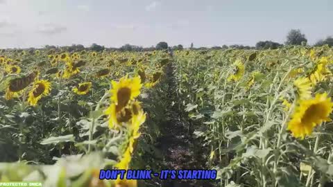 Snapshot of sunflower0907 chatting on 09-14-25, 08:02 Tina. Im topless model online show from 09-14-25, 08:02