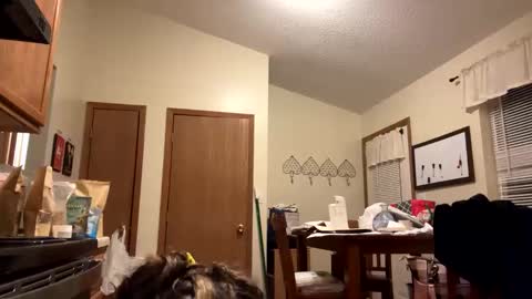 Snapshot of sunnbabe92485 chatting on 09-11-25, 02:44 sunnbabe92485 online show from 09-11-25, 02:44