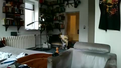 sunr1sa online show from 12-07-24, 07:49