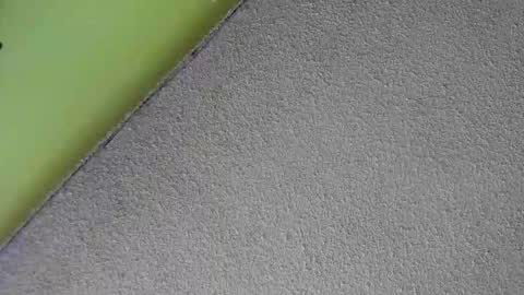 Snapshot of sussan_nasty chatting on 12-16-25, 01:38 sussan_nasty online show from 12-16-25, 01:38