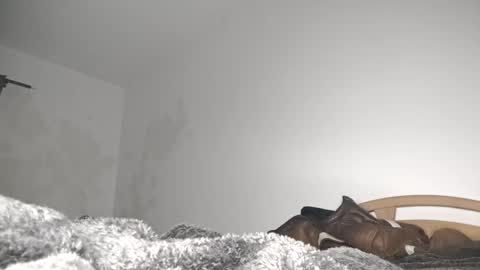 suzuki1250 online show from 03-06-26, 09:06