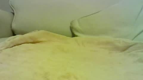 Snapshot of sven_eber chatting on 01-10-26, 07:04 Peter online show from 01-10-26, 07:04