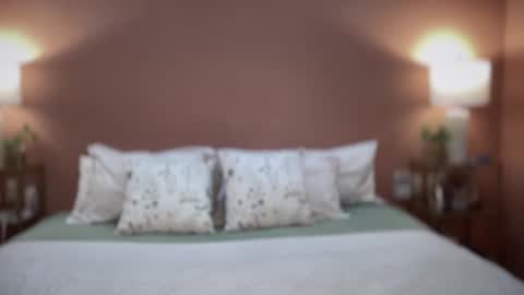 Swedish Candii online show from 02-25-26, 12:31