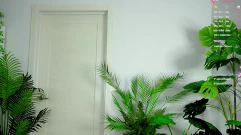 Alice online show from 10-03-25, 03:31