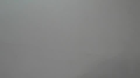 ahinara online show from 08-05-26, 11:17