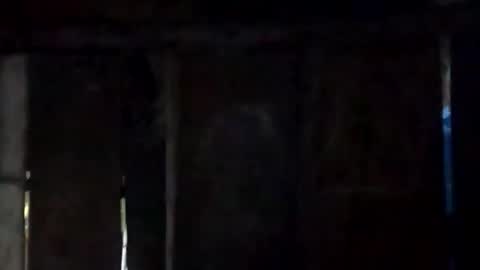 sweet_nessa30 online show from 02-10-26, 06:17