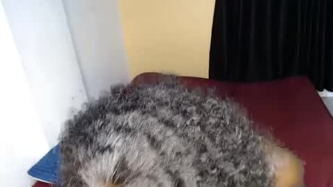 ellanah Tracie online show from 09-30-25, 12:04