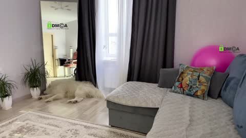 Vicktorious online show from 01-17-25, 12:42