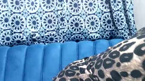 Snapshot of sweetgal11 chatting on 07-03-26, 10:32 sweetgal11 online show from 07-03-26, 10:32