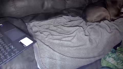 Snapshot of sweetgesus chatting on 01-05-25, 03:53 sweetgesus online show from 01-05-25, 03:53