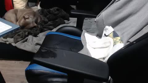 Snapshot of sweetgesus chatting on 11-06-25, 03:57 sweetgesus online show from 11-06-25, 03:57