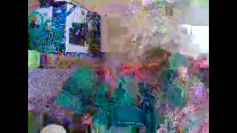 sweetib1 online show from 02-27-25, 09:32