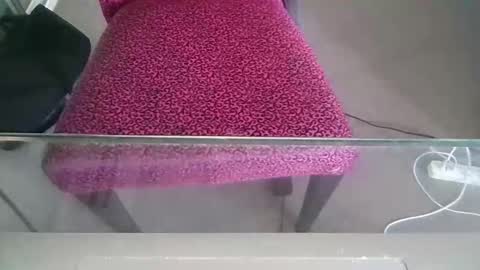 sweetiepuppy421 online show from 03-02-26, 07:15