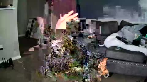 sweetness_cool online show from 10-22-25, 07:57