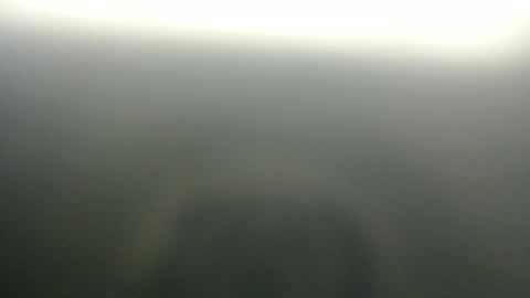 slim ivy online show from 04-03-26, 03:59