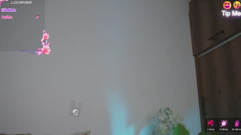 Hello Welcome Im here from WEDNESDAY to SUNDAY 430am to  830am and 3  to 7  timeMONDAY and TUESDAY i rest online show from 03-05-26, 09:44