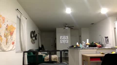 sweetriddance online show from 03-01-26, 11:34