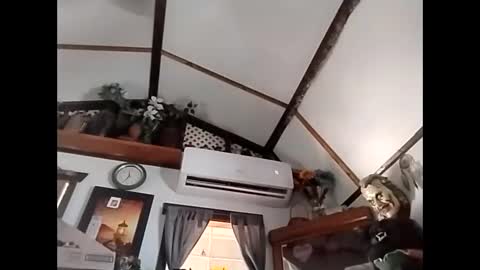 sweetsugar64 online show from 02-03-26, 04:23