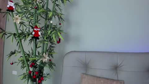Snapshot of sweett_petite chatting on 12-29-24, 10:36 online show from 12-29-24, 10:36