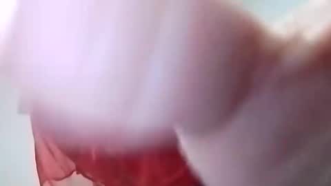 sweetwendi15 online show from 02-08-25, 02:04