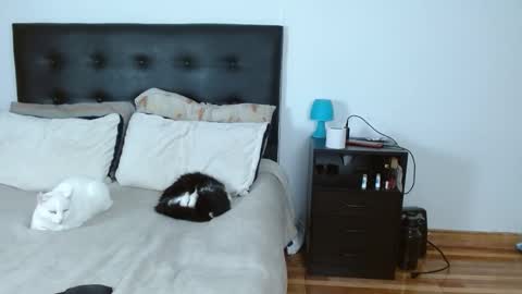 Snapshot of sweetyiris chatting on 12-14-25, 05:02 iris online show from 12-14-25, 05:02