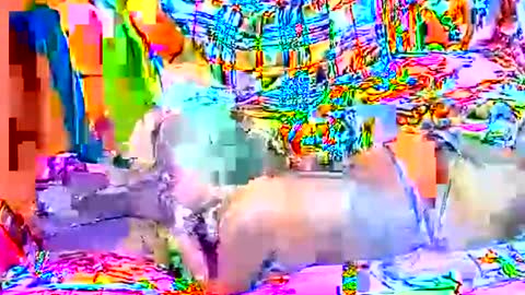 Sweetyummygirl online show from 09-22-25, 08:33