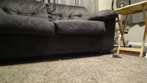 Snapshot of sxtn002 chatting on 11-11-25, 11:10 sxtn002 online show from 11-11-25, 11:10