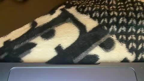 Snapshot of sydneysweetsins chatting on 06-12-26, 02:54 sydneysweetsins online show from 06-12-26, 02:54