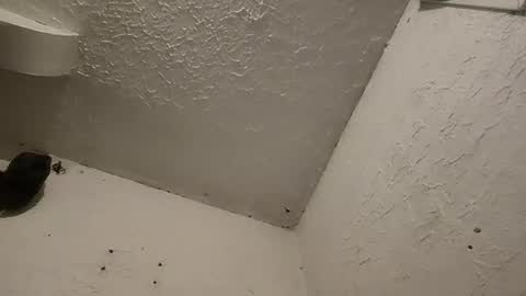 Talen James online show from 03-11-25, 01:26