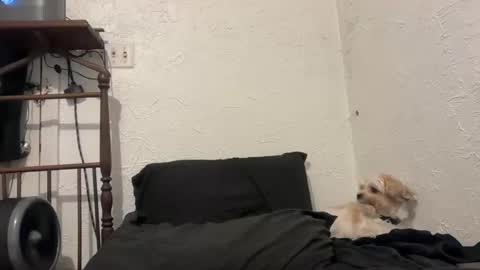 Talen James online show from 09-28-25, 10:26