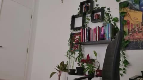 Tali Majid online show from 02-16-26, 08:16