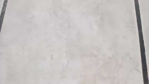 Snapshot of tall6feet7inch chatting on 09-21-25, 08:16 tall6feet7inch online show from 09-21-25, 08:16