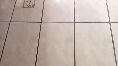 Snapshot of tall6feet7inch chatting on 10-01-25, 09:04 tall6feet7inch online show from 10-01-25, 09:04