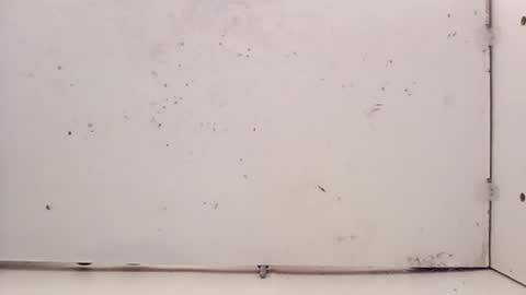 tall6feet7inch online show from 02-27-26, 05:24