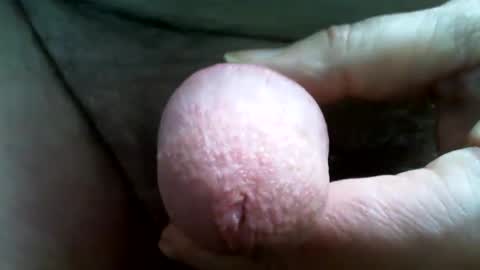 tallgentleman online show from 12-01-24, 05:35