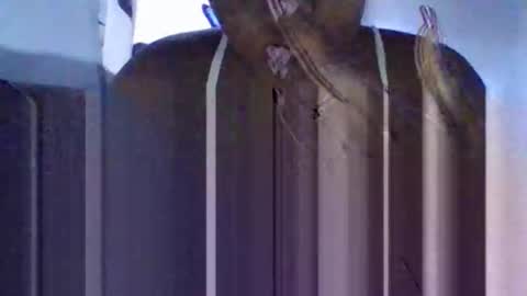 Tanaya1 online show from 10-10-25, 05:28