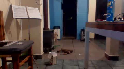 tanobi70 online show from 04-18-26, 01:31