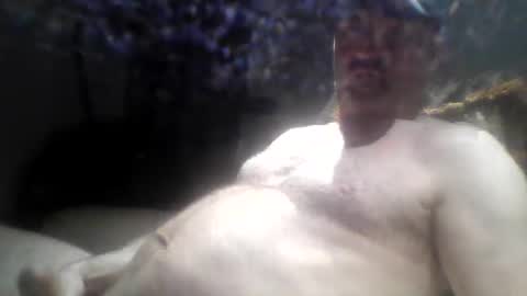 Snapshot of tarzeny77 chatting on 06-21-26, 01:41 tarzeny77 online show from 06-21-26, 01:41