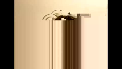 tastytexas24 online show from 02-09-26, 12:47