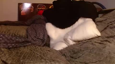 Jean pool online show from 03-28-26, 05:45