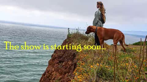 TATUM  ALL MY LINKS  online show from 02-28-26, 12:00