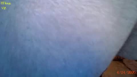 Snapshot of tatum__kahlo chatting on 04-24-26, 04:20 TATUM ALL MY LINKS online show from 04-24-26, 04:20