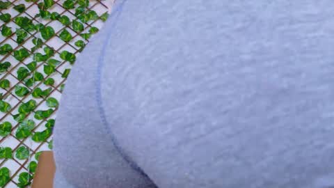 Snapshot of taty_miller chatting on 02-15-26, 07:21 Taty Miller online show from 02-15-26, 07:21