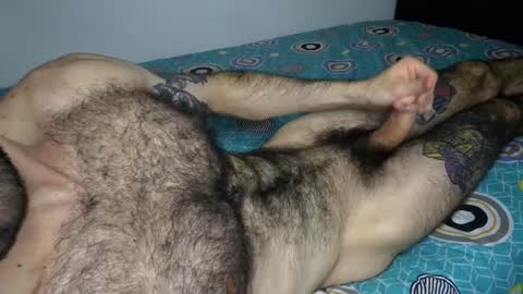 Taylor online show from 02-03-26, 06:40