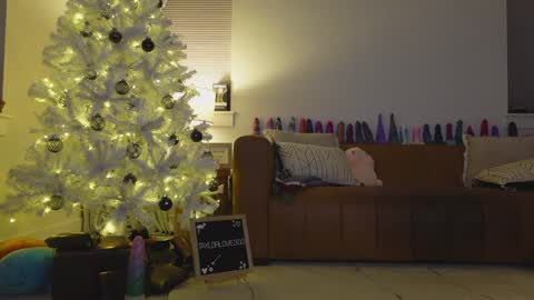 Taylor --  online show from 12-21-25, 12:40