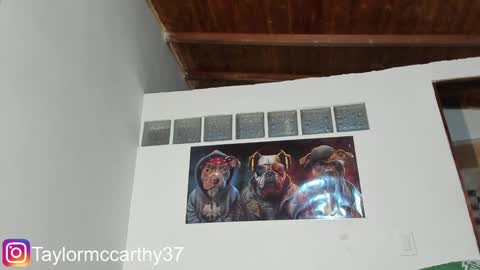 Taylor Mccarthy online show from 01-29-25, 05:09