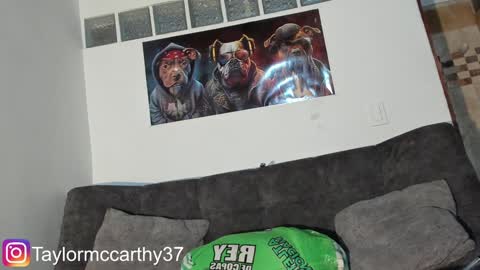 Taylor Mccarthy online show from 02-06-25, 01:16