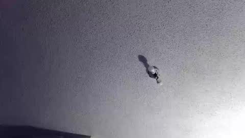 technosex14 online show from 11-20-25, 03:28