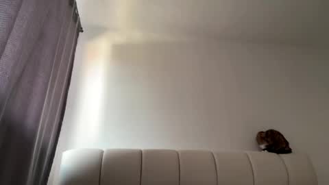 Amy No penetration Virgiin giirl online show from 04-10-26, 01:05